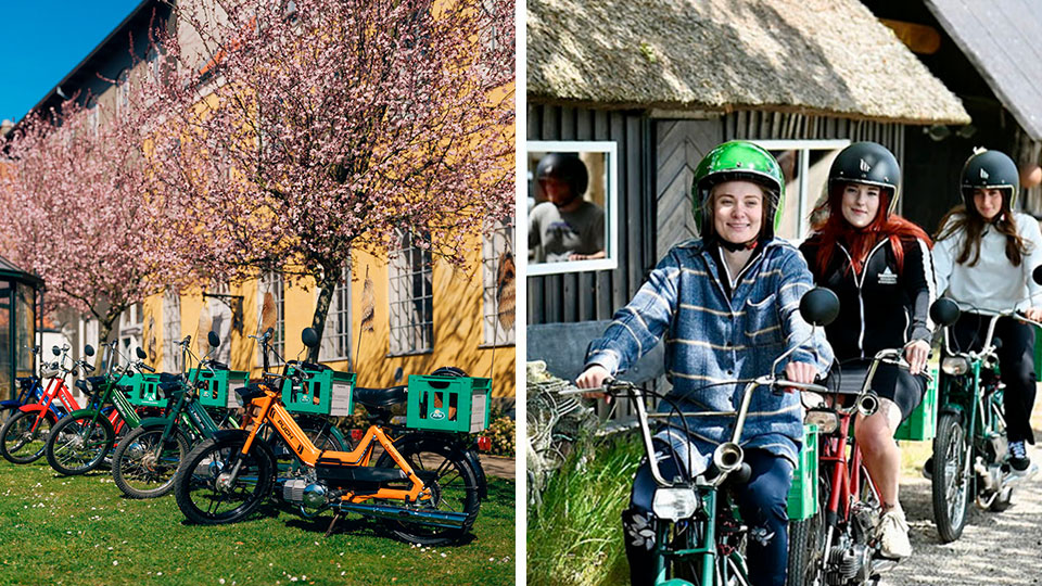 Lej en Puch Maxi på Fyn